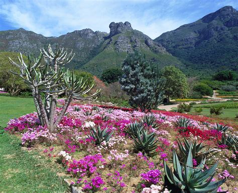 Botanischer Garten Kirstenbosch